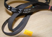 PASEK 1231 H8 HUTCHINSON