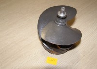 ŚLIMAK SOKOWIRÓWKI